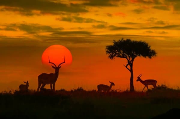 Magnificent South Africa